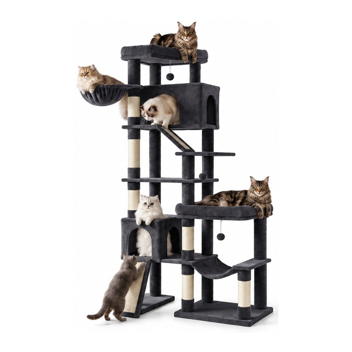 Kratzbaum Tapsi XXL Dunkelgrau mit Katzen auf weißem Hintergrund