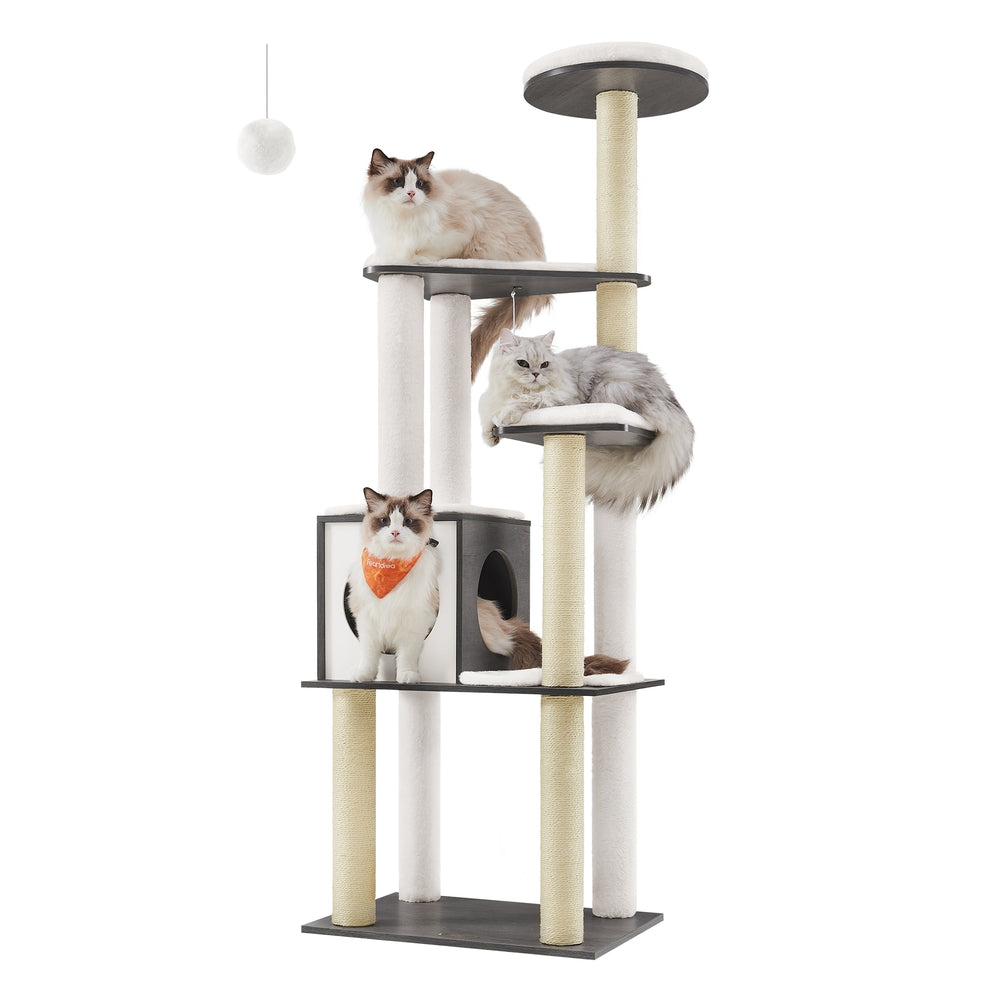 Kratzbaum Teddy XL in Nebelgrau – FEANDREA PCT166G03, 165 cm